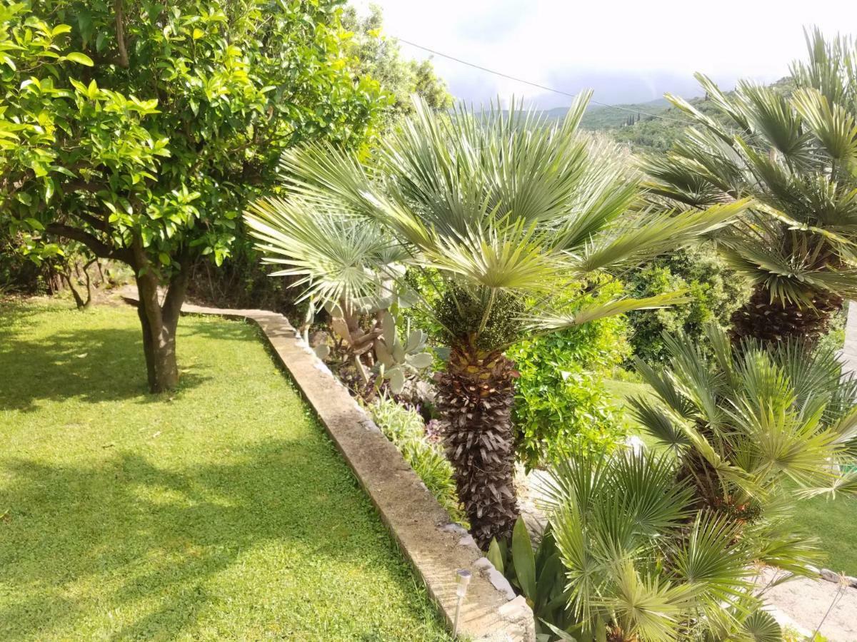 Marivo Guest House 몰루나트 외부 사진
